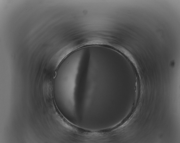 X0000089961337200707061132