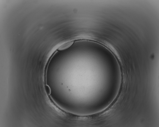 X0000089961339200707061132