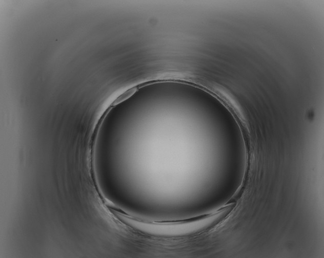 X0000089961340200707061132
