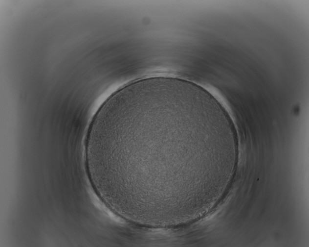 X0000089961341200707061132