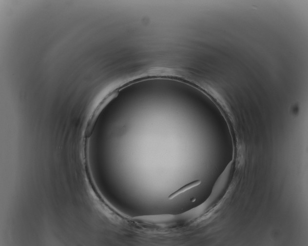 X0000089961342200707061132