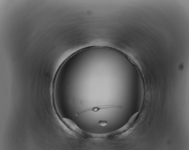 X0000089961343200707061132
