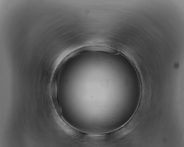 X0000089961344200707061132