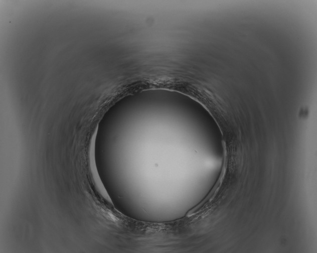 X0000089961345200707061132