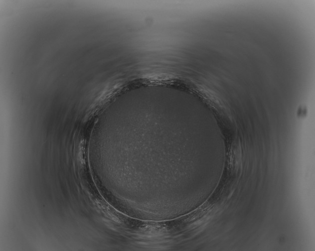 X0000089961346200707061132