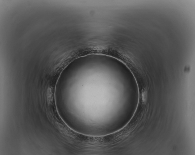 X0000089961347200707061132