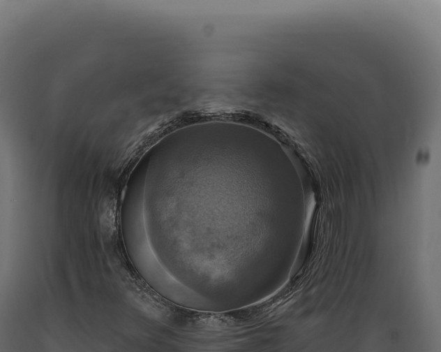 X0000089961348200707061132