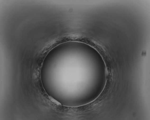 X0000089961349200707061132