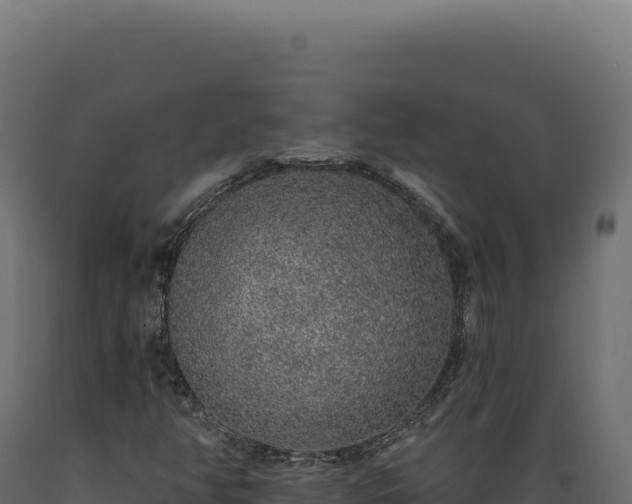 X0000089961350200707061132