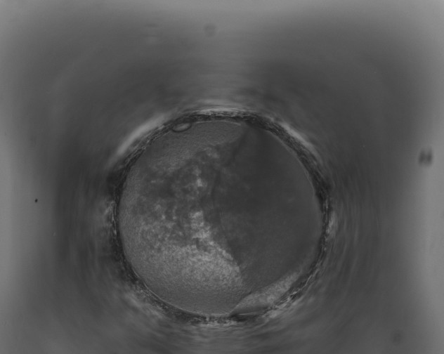 X0000089961351200707061132