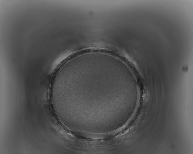 X0000089961352200707061132