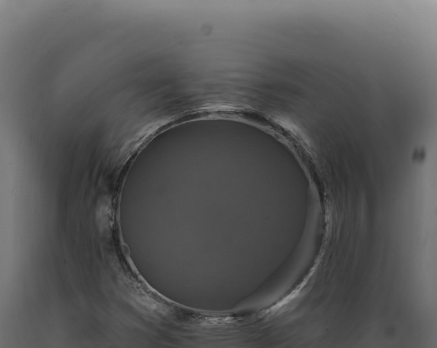 X0000089961353200707061132