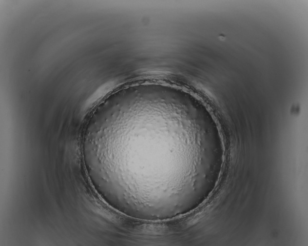 X0000089961354200707061132