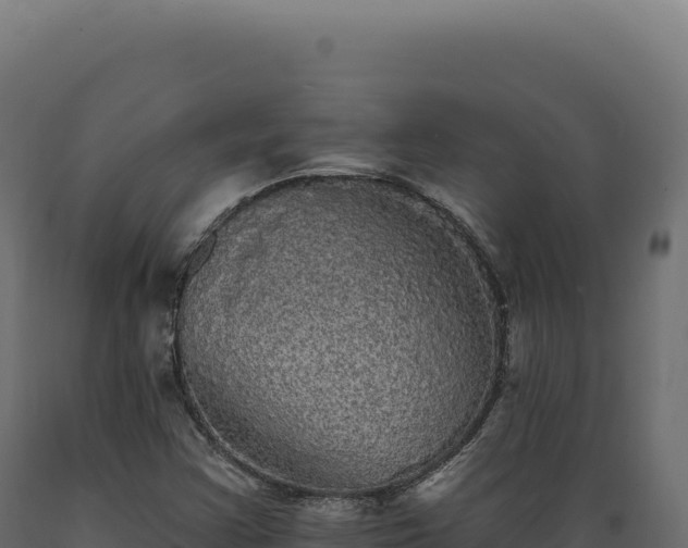 X0000089961355200707061132