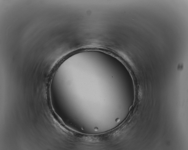 X0000089961356200707061132