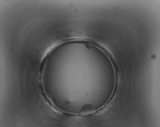 X0000089961357200707061132