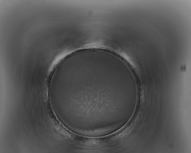X0000089961358200707061132