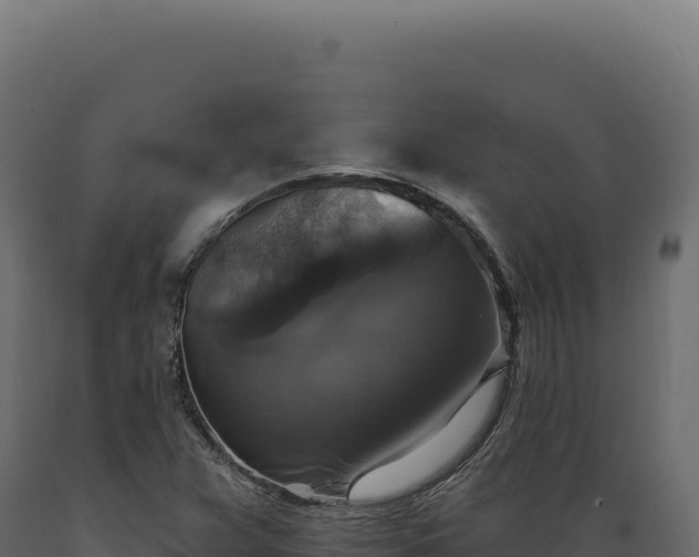 X0000089961359200707061132