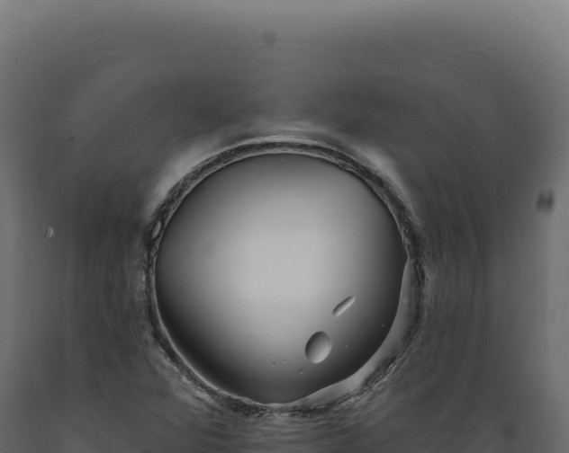 X0000089961360200707061132