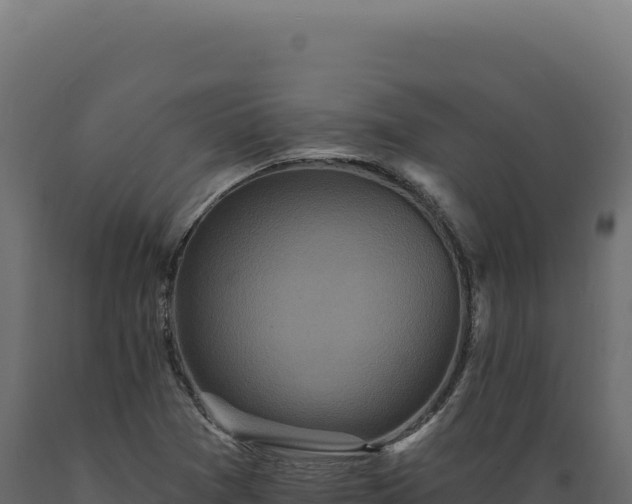 X0000089961361200707061132