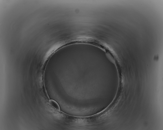 X0000089961362200707061132