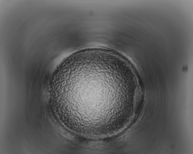 X0000089961363200707061132