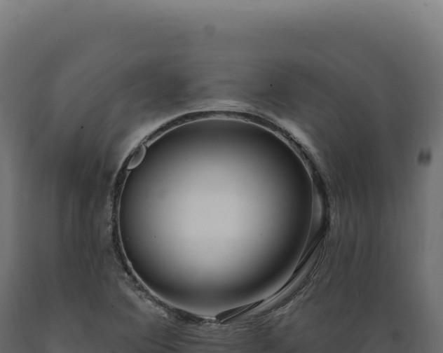 X0000089961364200707061132