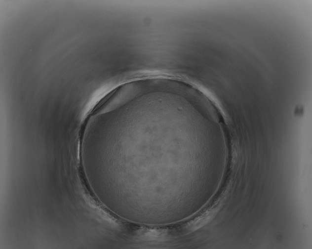 X0000089961365200707061132