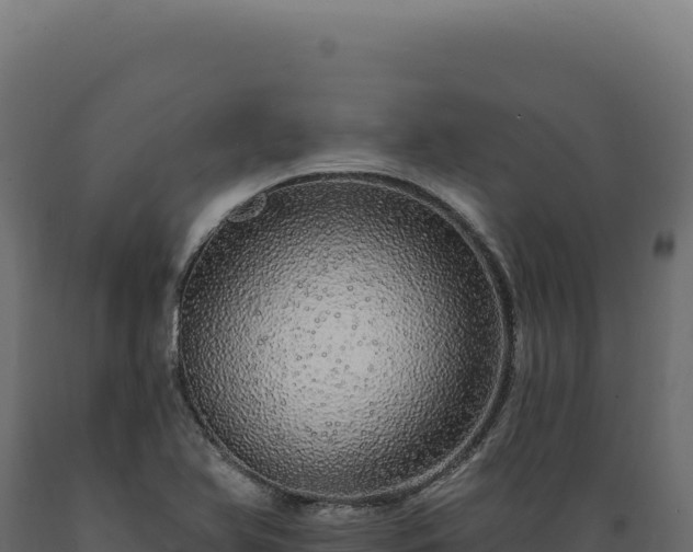X0000089961366200707061132