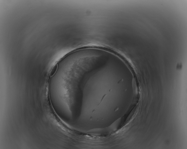 X0000089961367200707061132