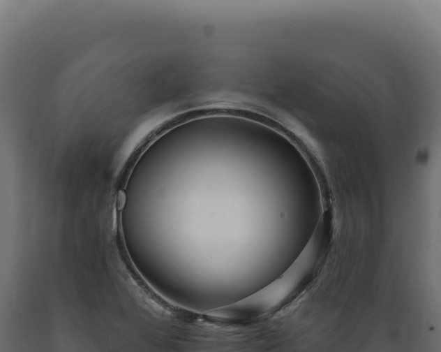 X0000089961368200707061132