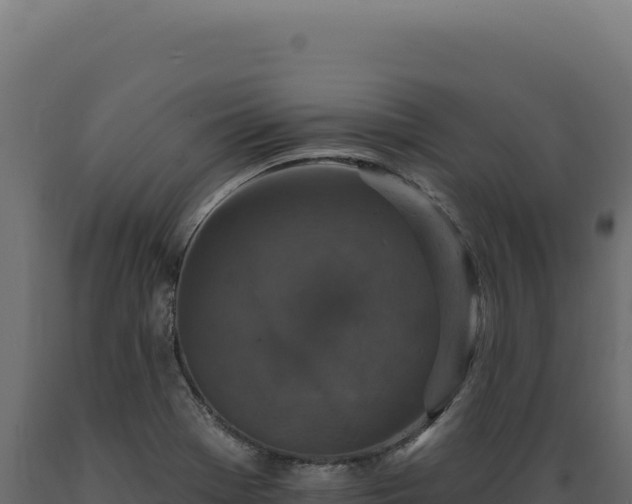 X0000089961369200707061132