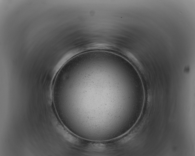 X0000089961370200707061132