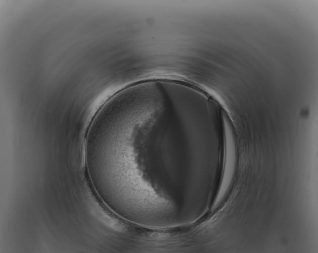 X0000089961371200707061132