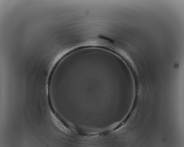 X0000089961372200707061132