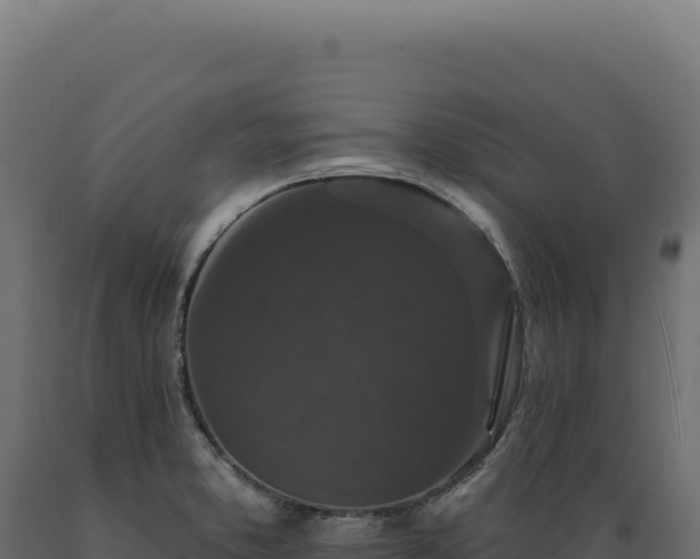X0000089961373200707061132