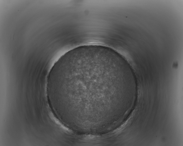 X0000089961374200707061131