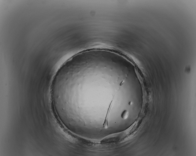 X0000089961375200707061131