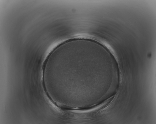 X0000089961376200707061131