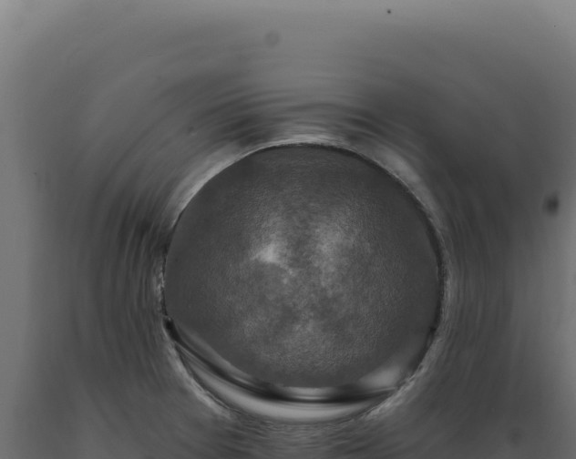 X0000089961377200707061131