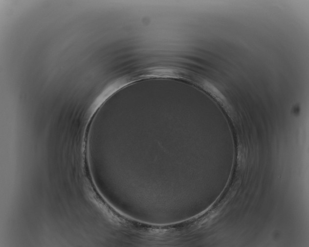 X0000089961378200707061131