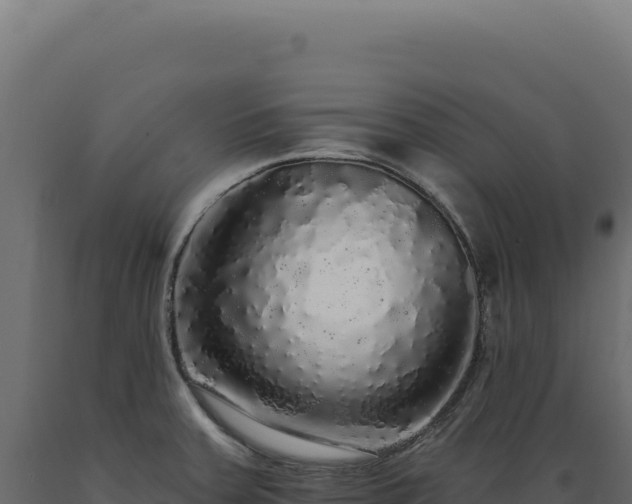 X0000089961379200707061131