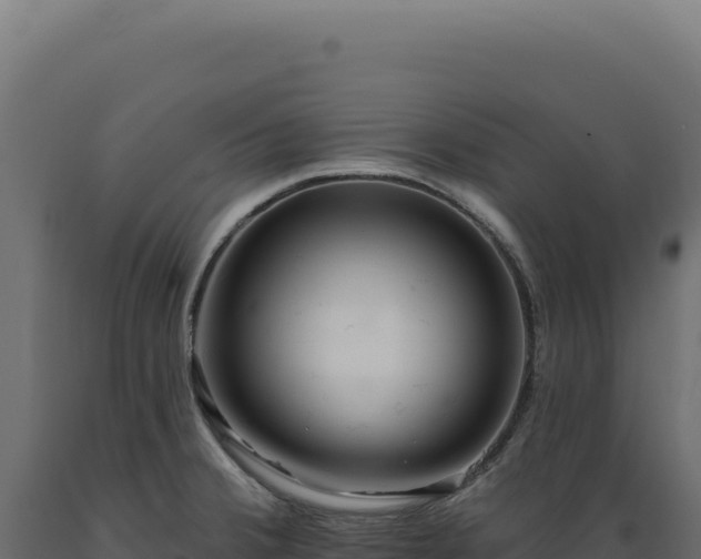 X0000089961380200707061131