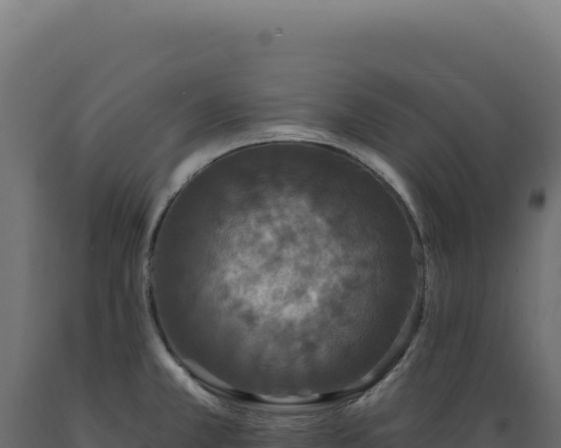 X0000089961381200707061131