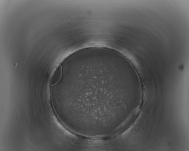 X0000089961382200707061131