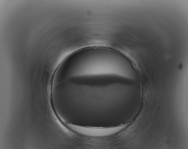 X0000089961383200707061131