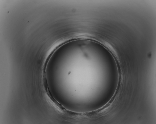 X0000089961384200707061131
