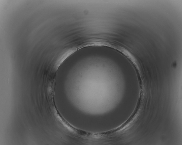 X0000089961385200707061131