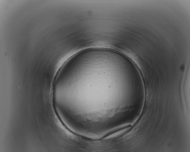 X0000089961387200707061131