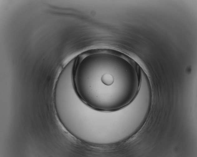 X0000089961388200707061131
